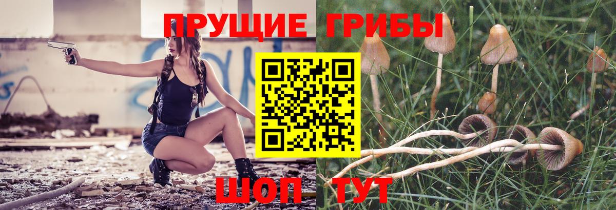Галлюциногенные грибы мухоморы  Вход с VPN  Псилоцибиновые грибы мицелий  как найти наркотики  Усть-Илимск 